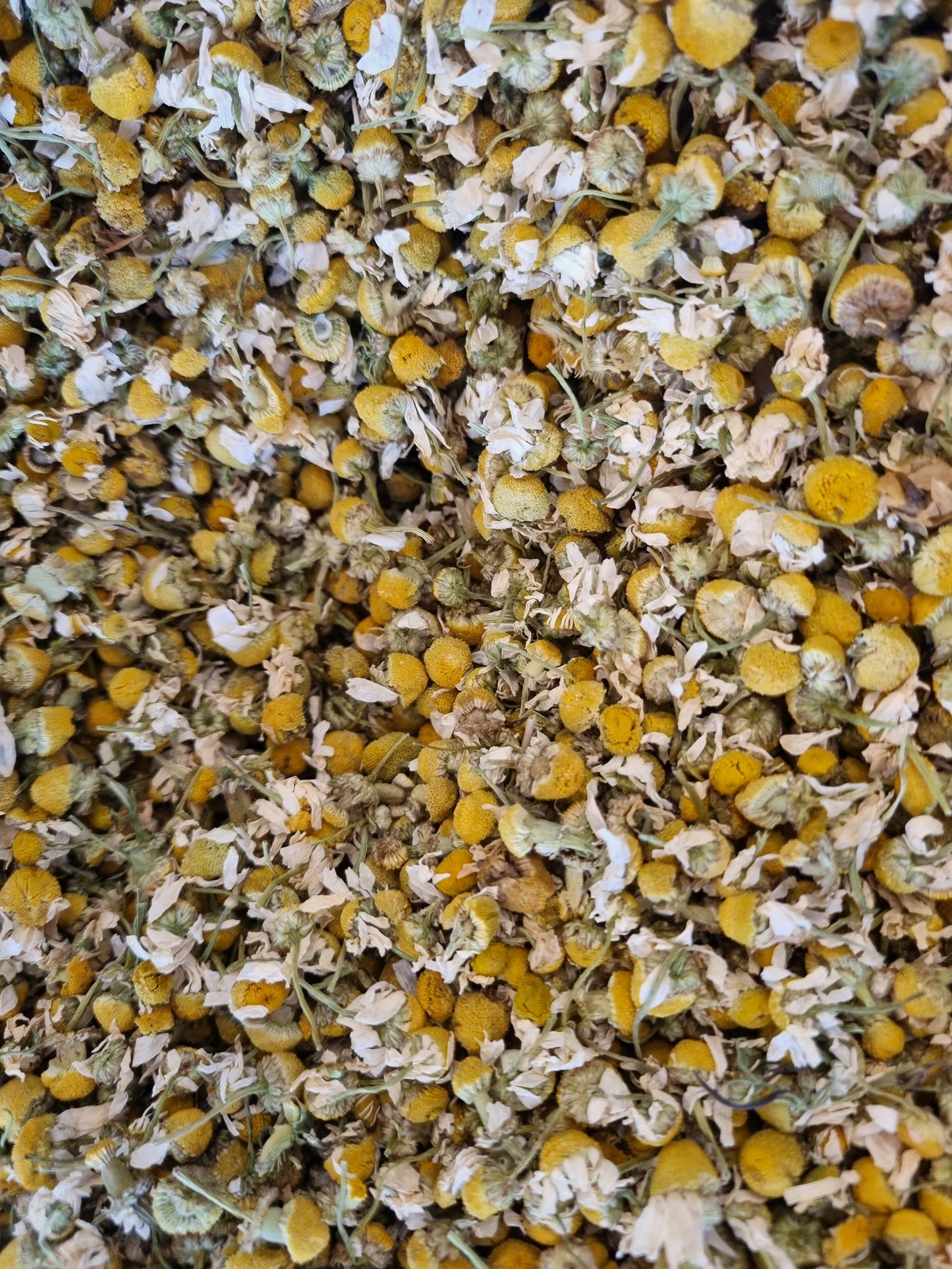Chamomile Blossoms Tea - 50g
