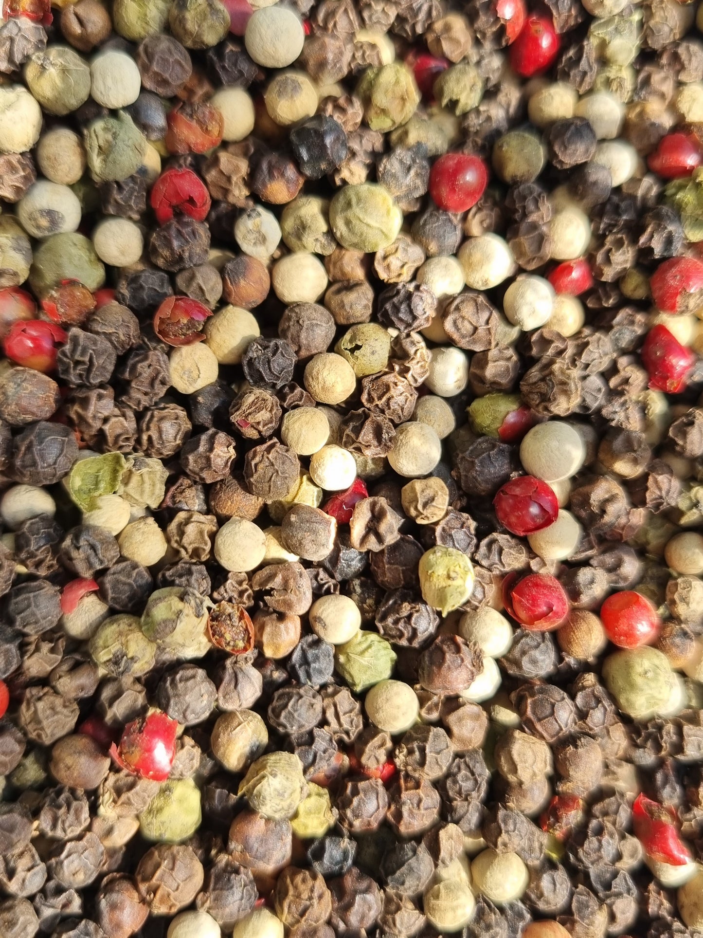 Mixed Peppercorns - 10g