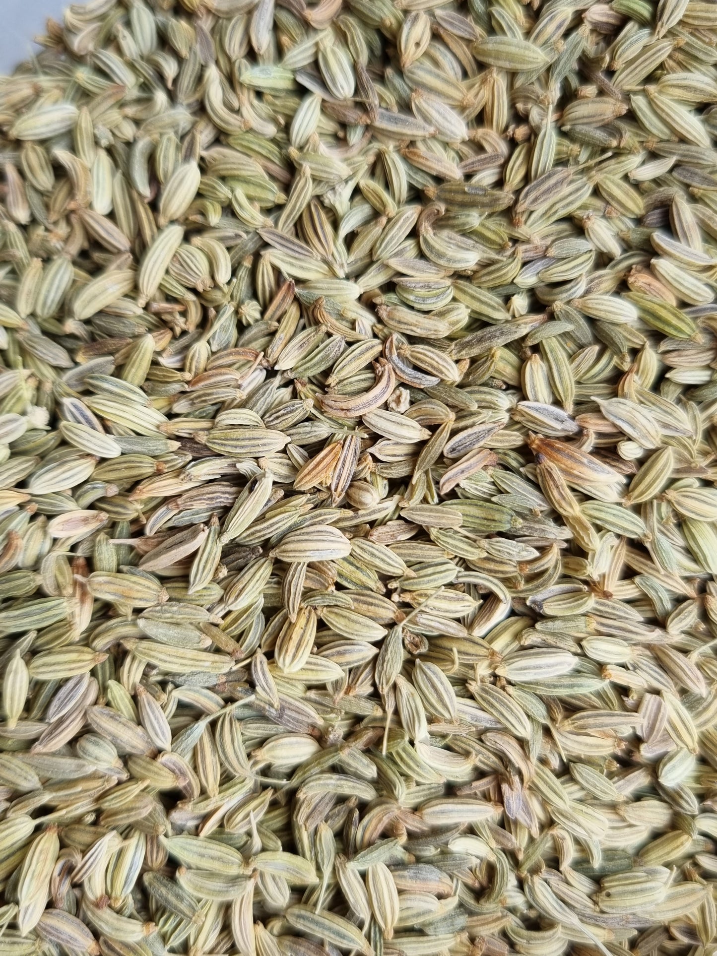 Fennel Seeds - 10g