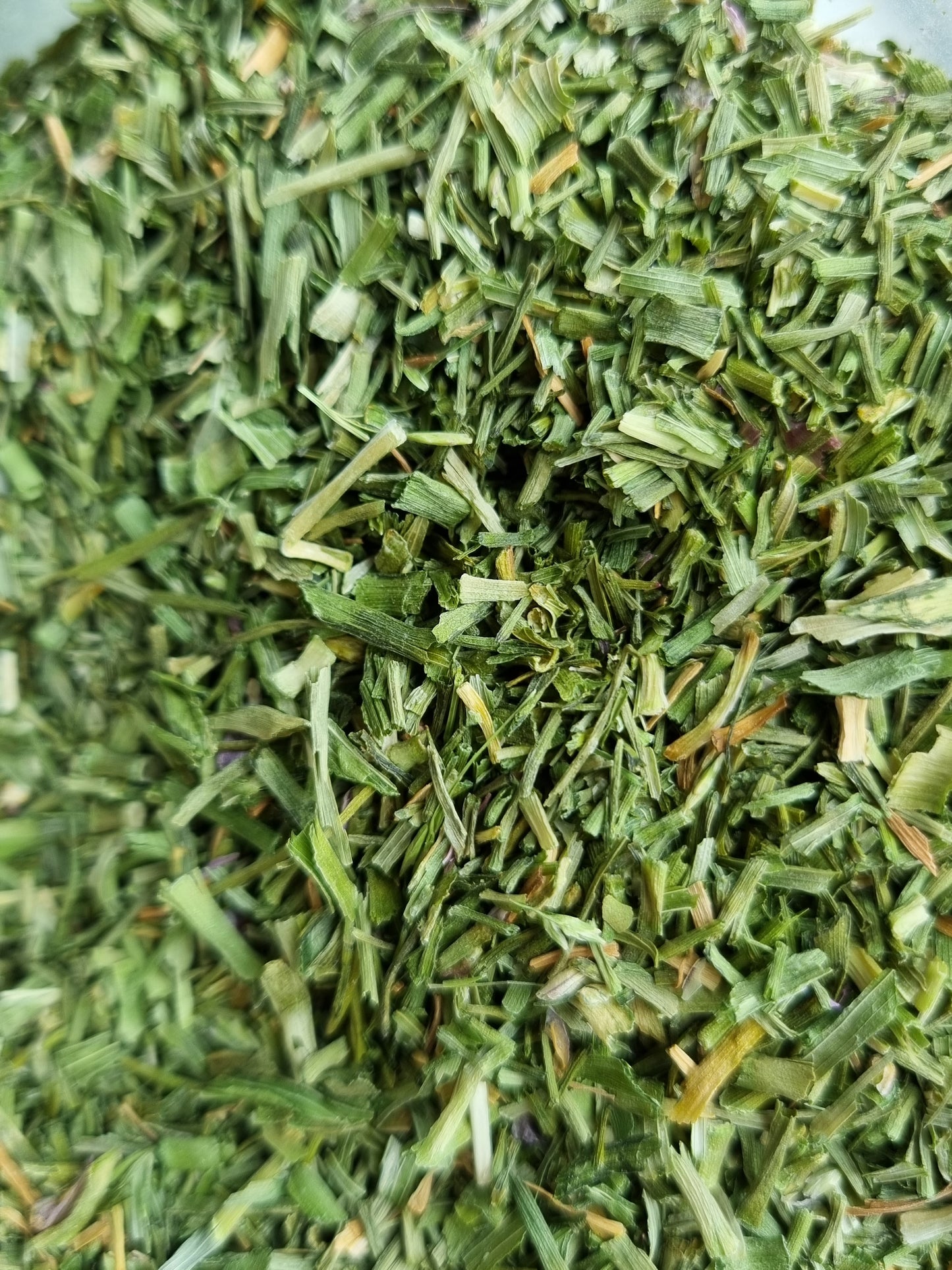 Chives - 10g