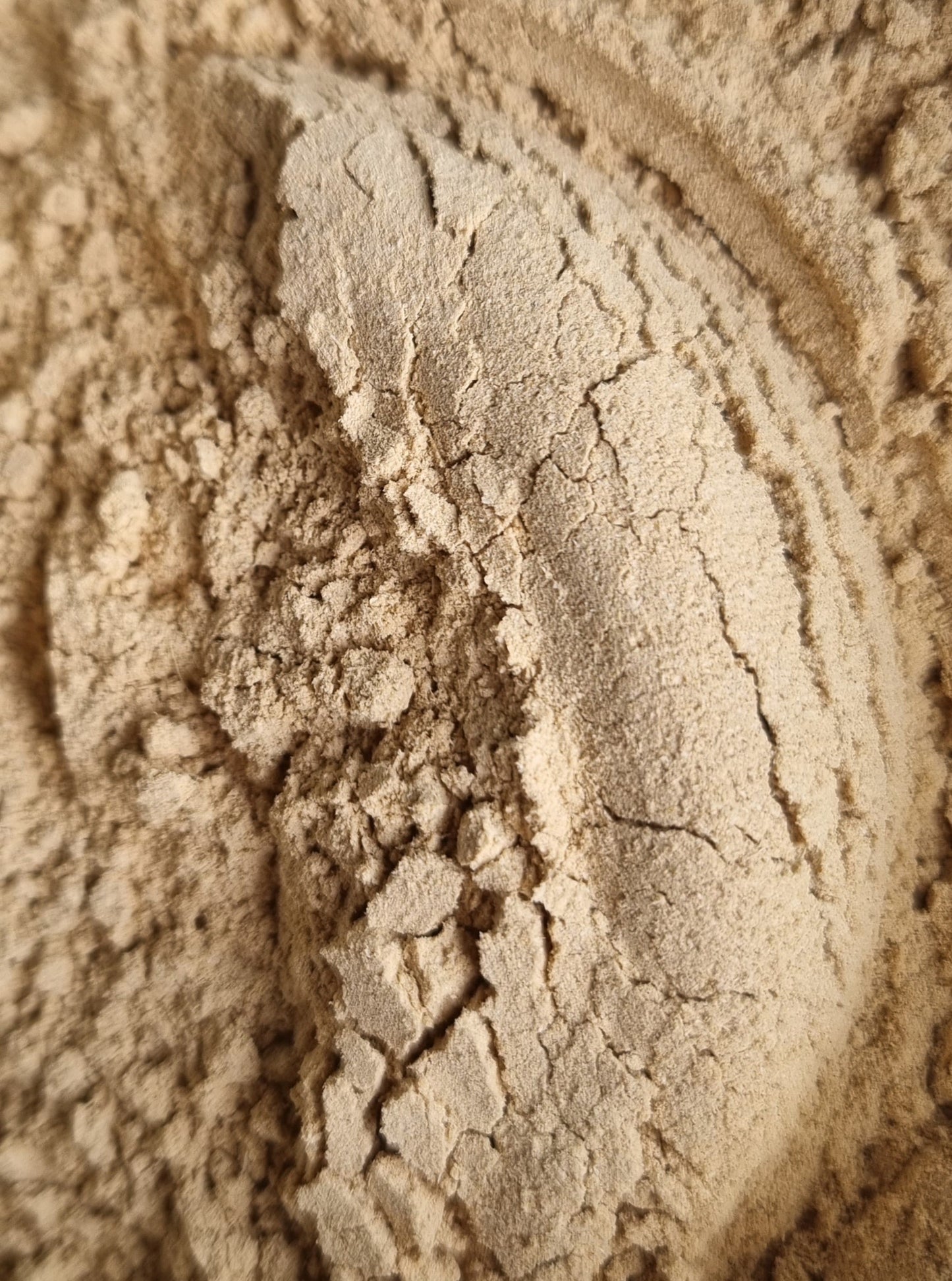 Garlic Powder - 10g