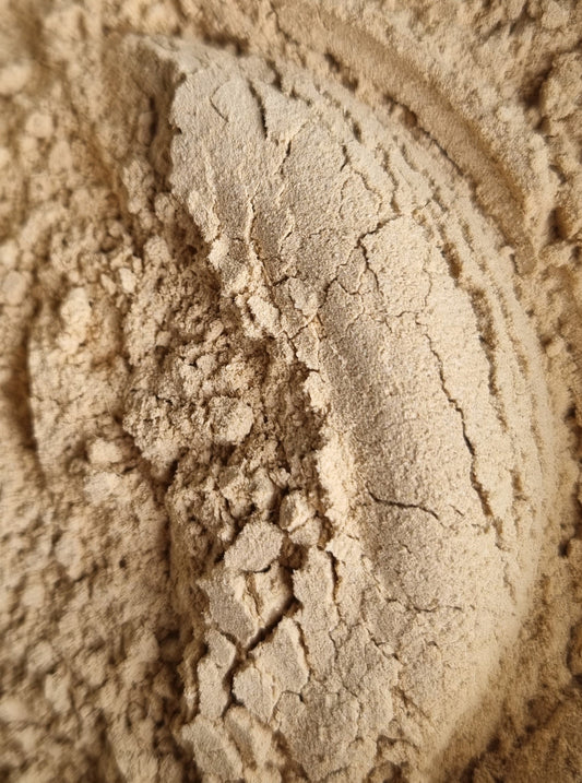 Garlic Powder - 10g