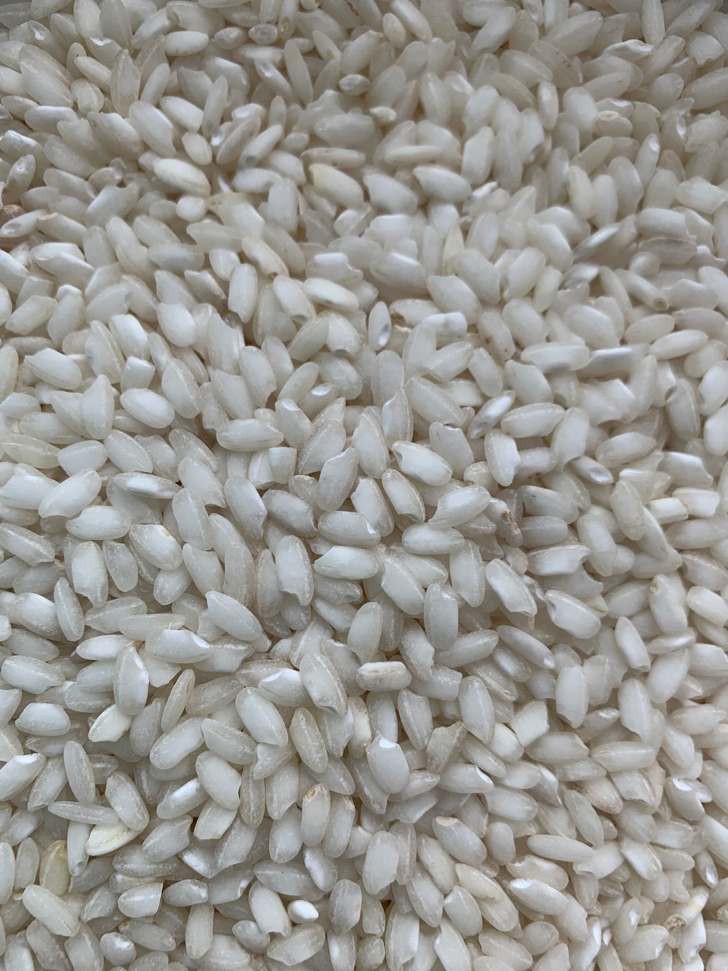 Arborio Rice - 100g