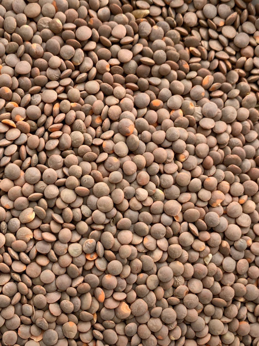 Brown Lentils - 100g