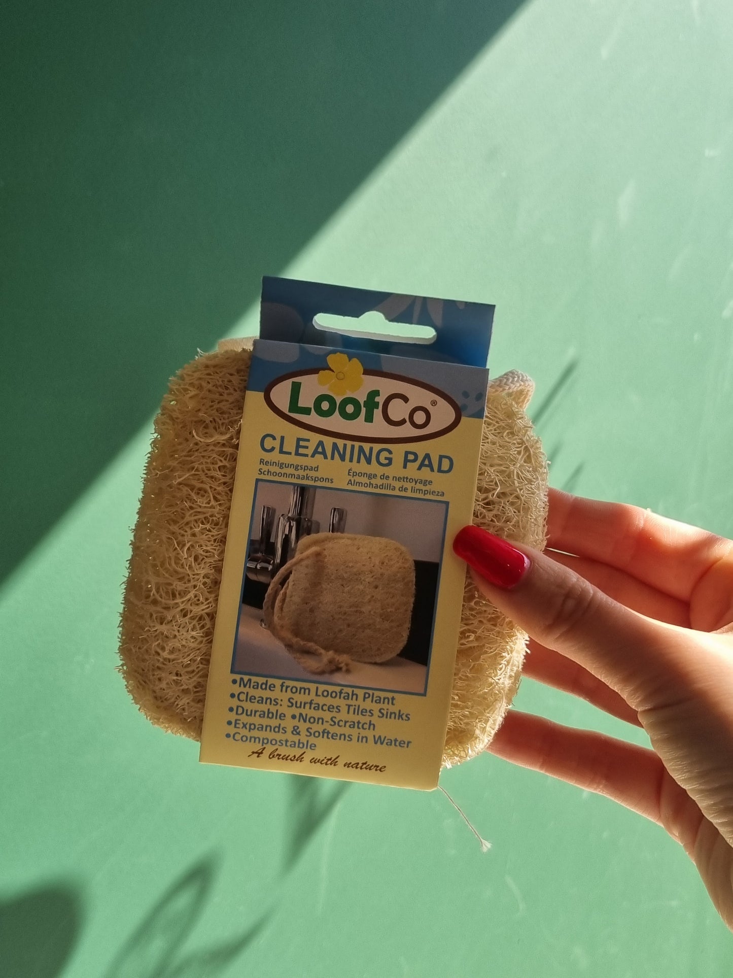 LoofCo Cleaning Pad 2 Pack