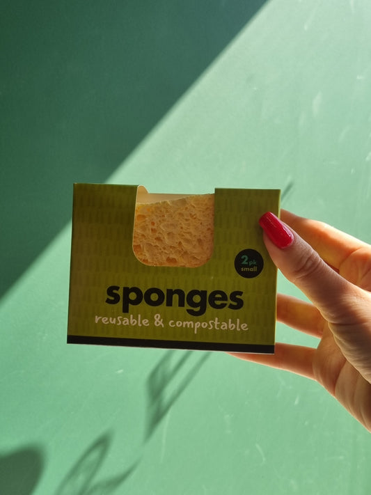 Compostable Sponge - 2 Pack