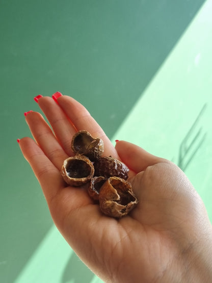 Organic Laundry Soapnuts