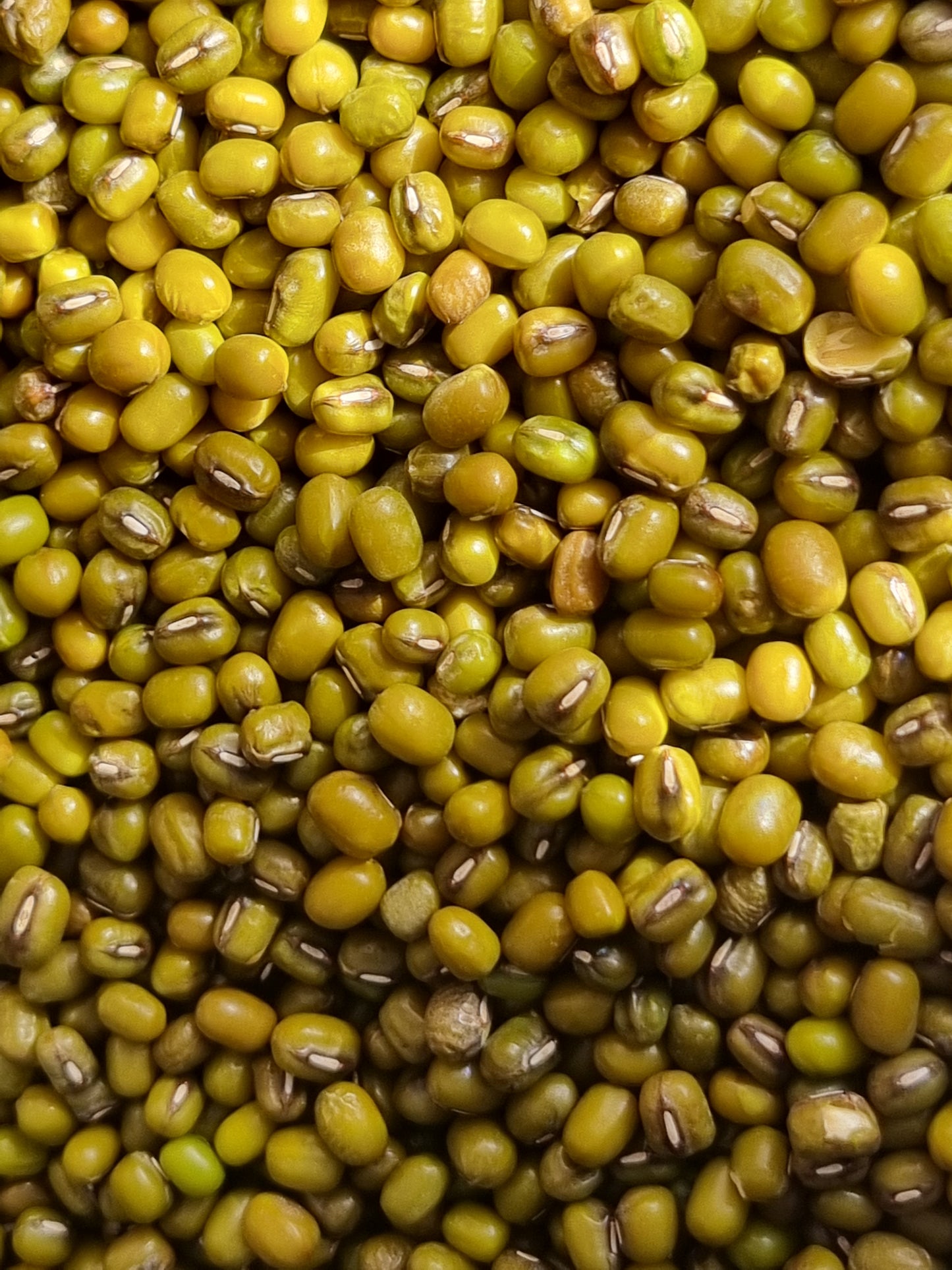 Mung Beans - 100g