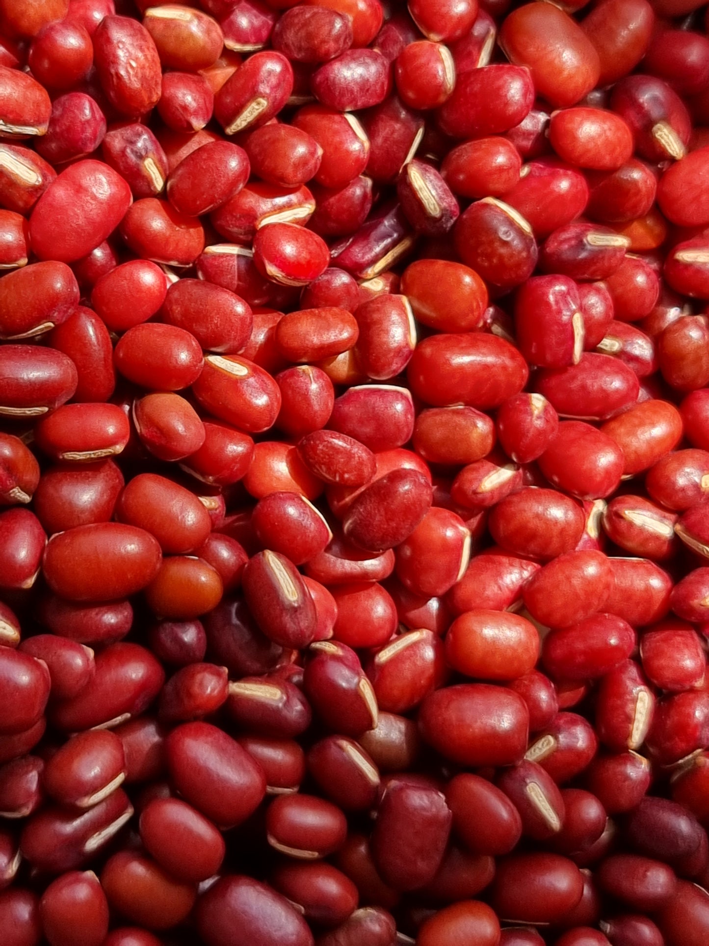 Adzuki Beans - 100g