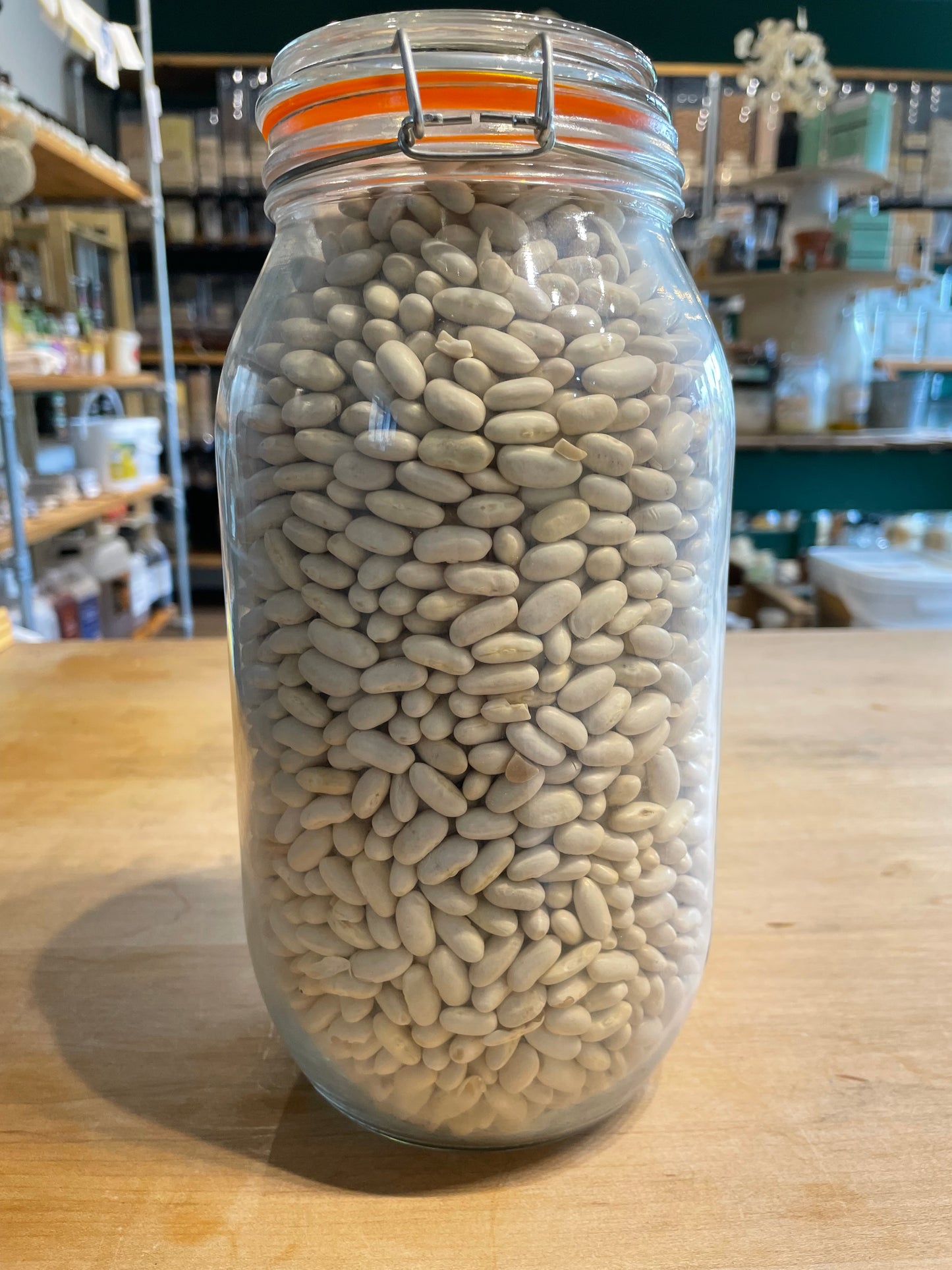 Cannellini Beans - 100g