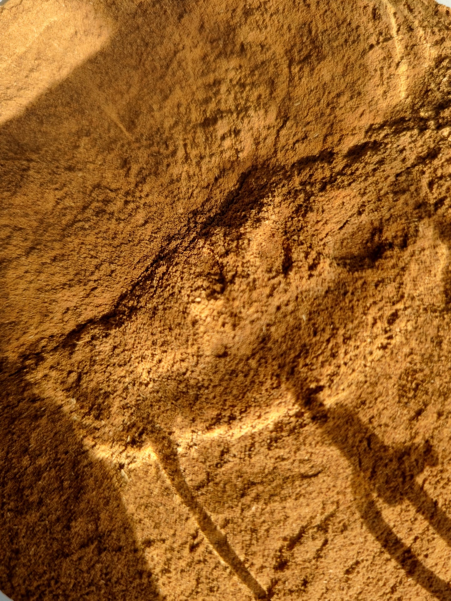 Cinnamon - 10g