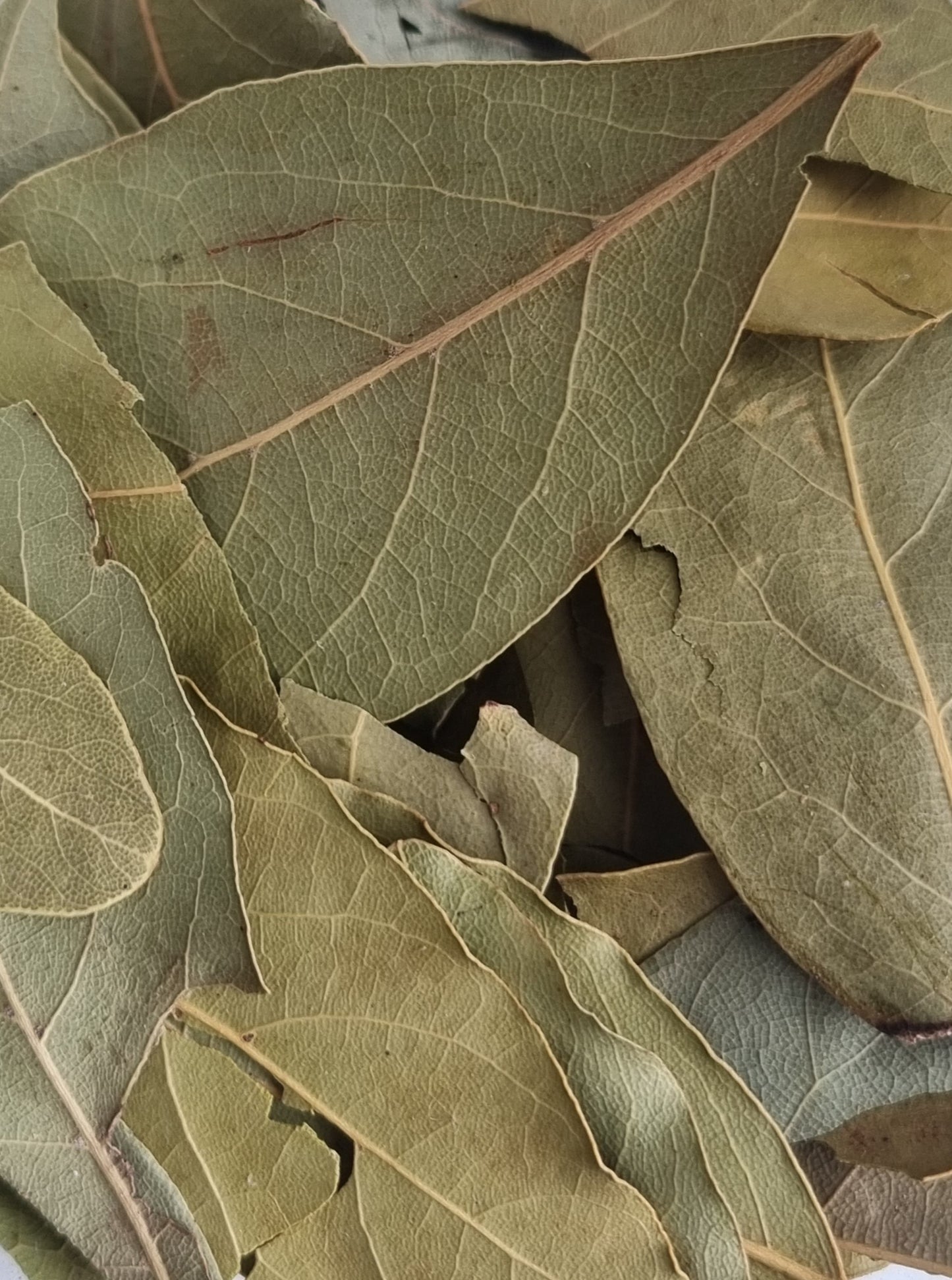 Bay Leaves - 10g