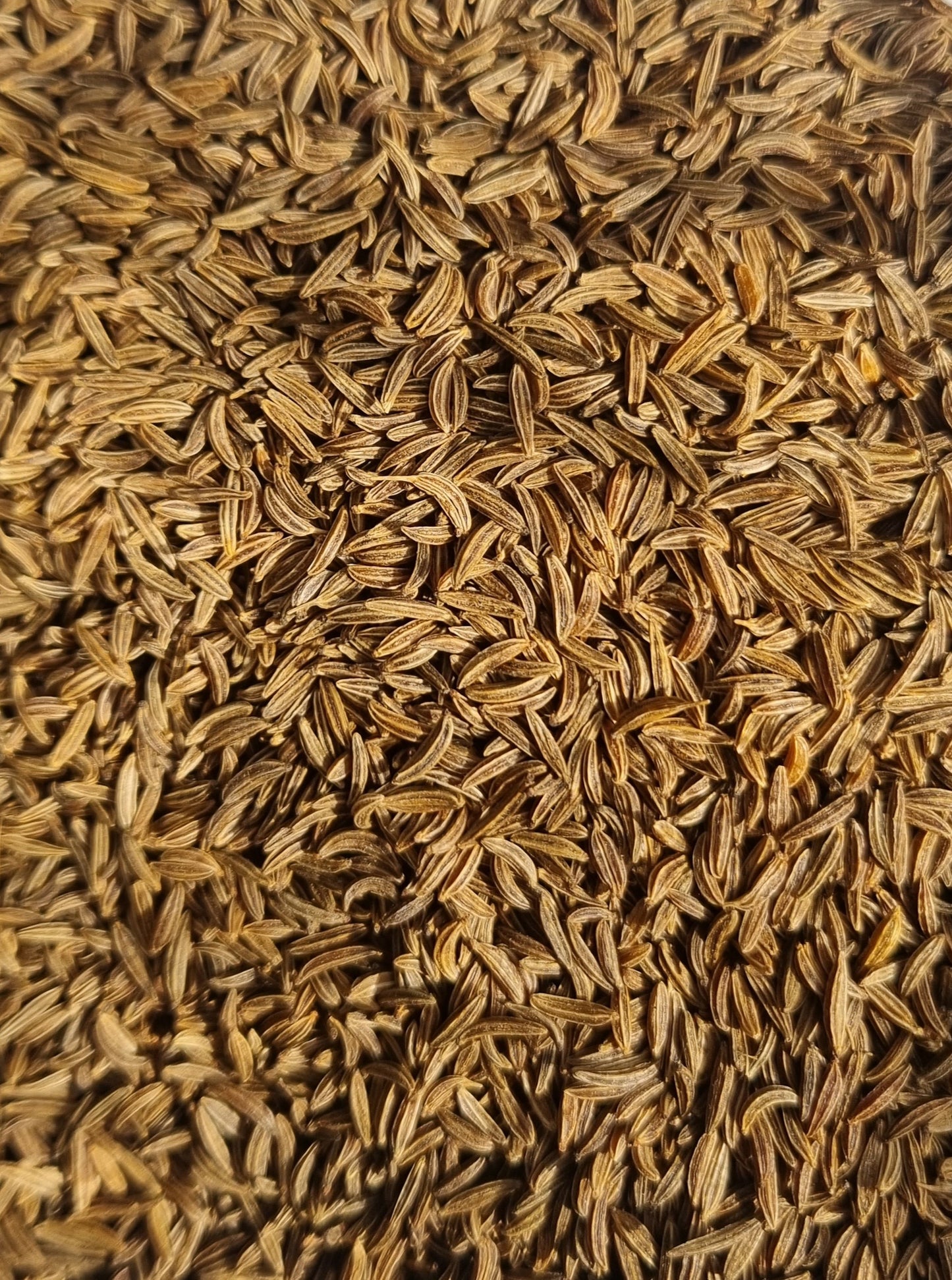 Caraway Seeds - 10g