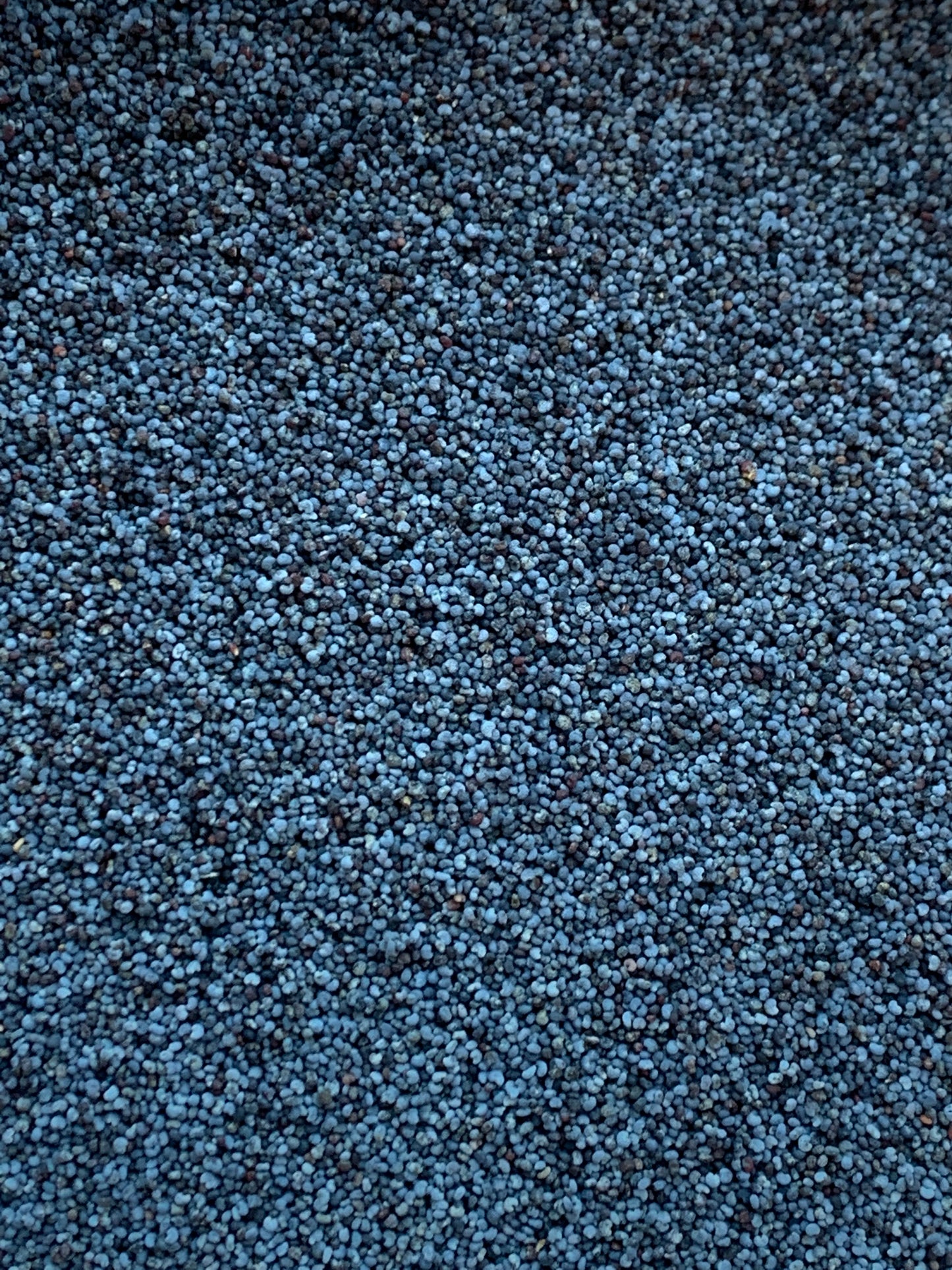 Blue Poppy Seeds - 100g