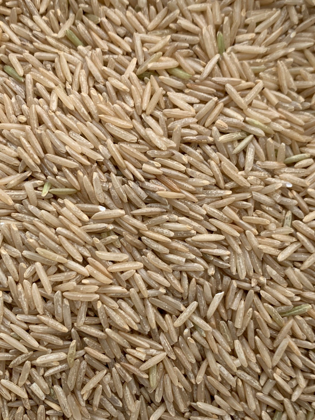 Organic Brown Basmati Rice - 100g – Fillerup Radstock