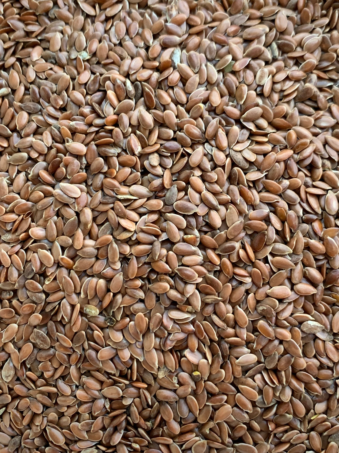 Brown Linseed/Flaxseed - 100g