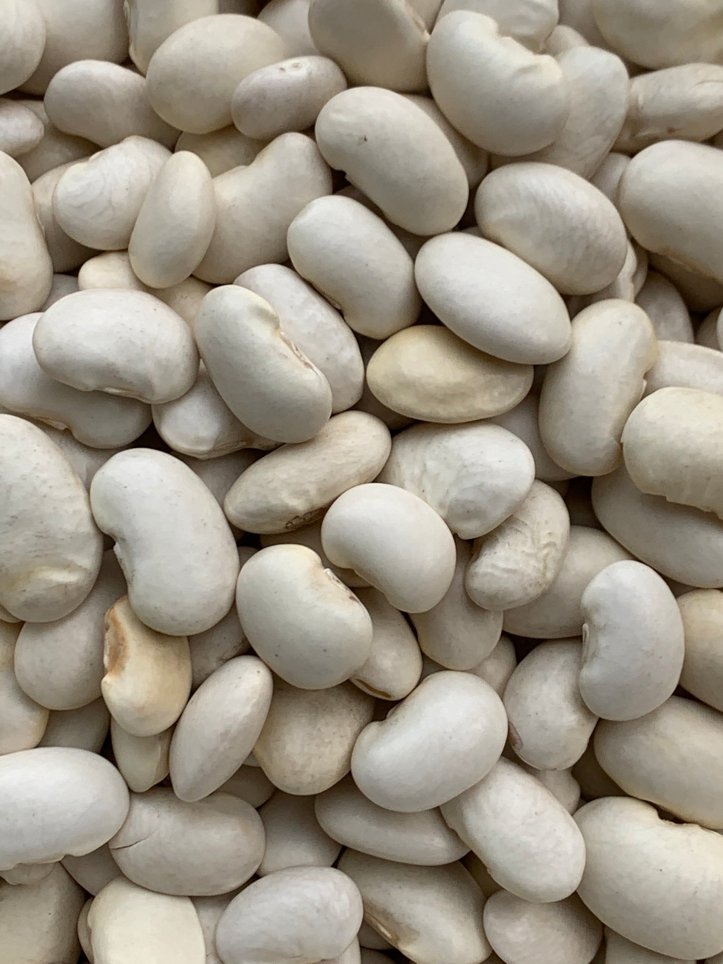 Butter Beans - 100g