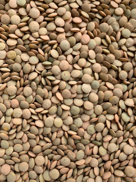 Green Lentils - 100g