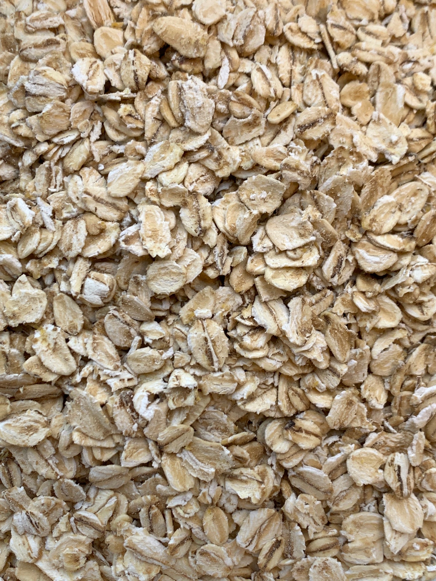 Jumbo Porridge Oats - 100g