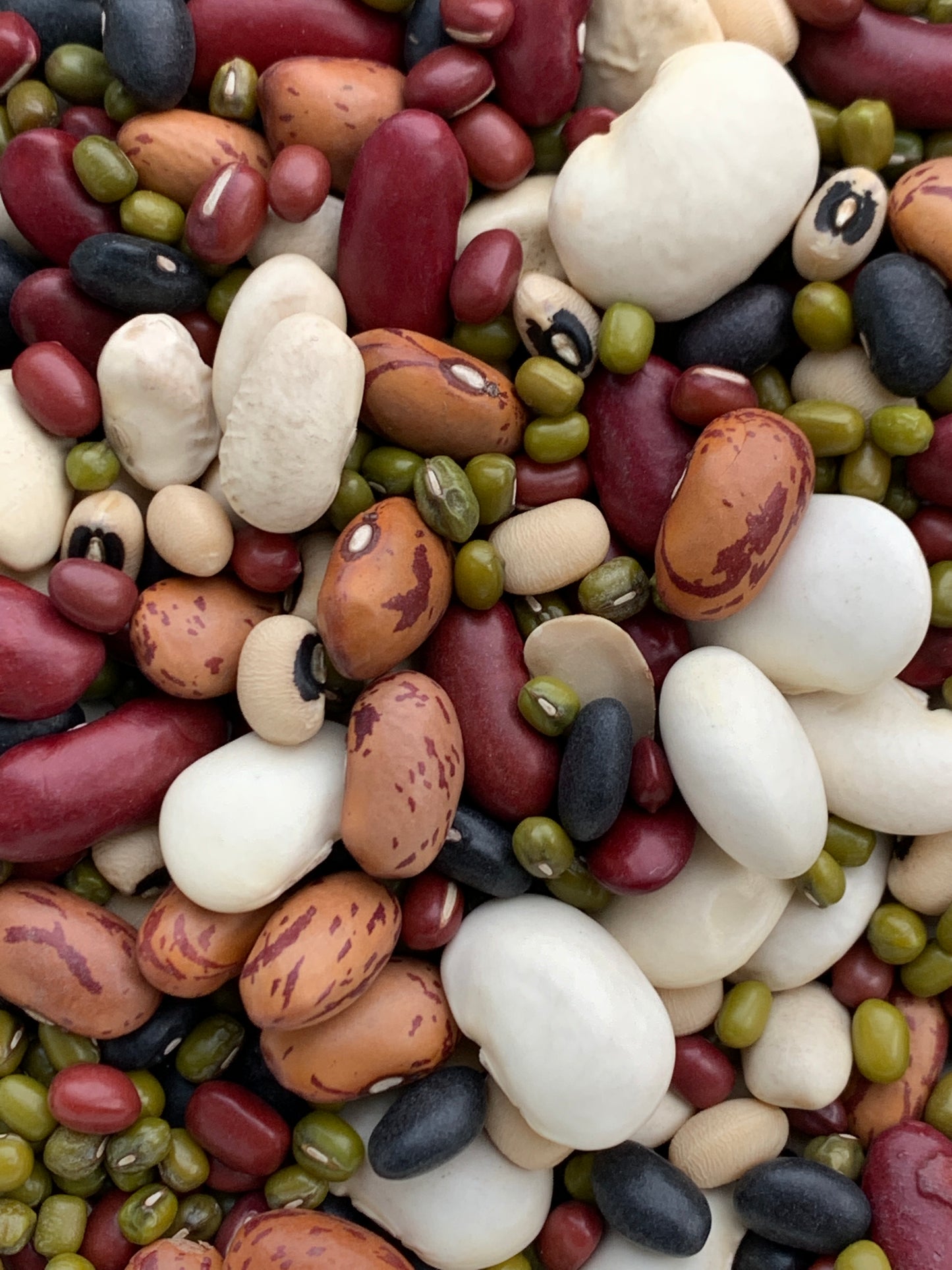 Mixed Beans - 100g