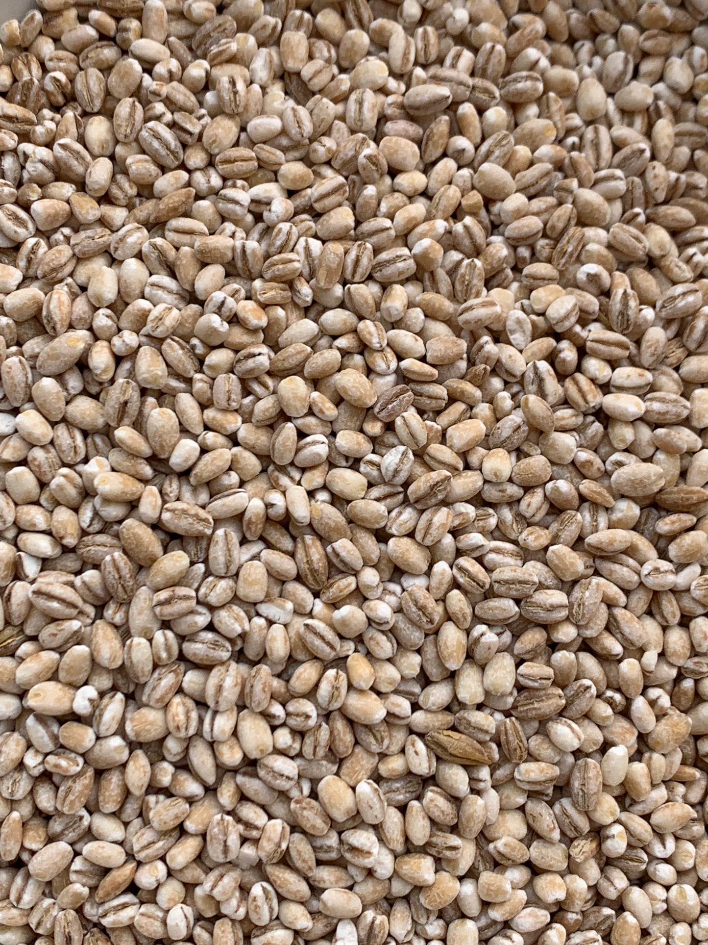 Pearl Barley - 100g