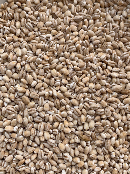 Pearl Barley - 100g