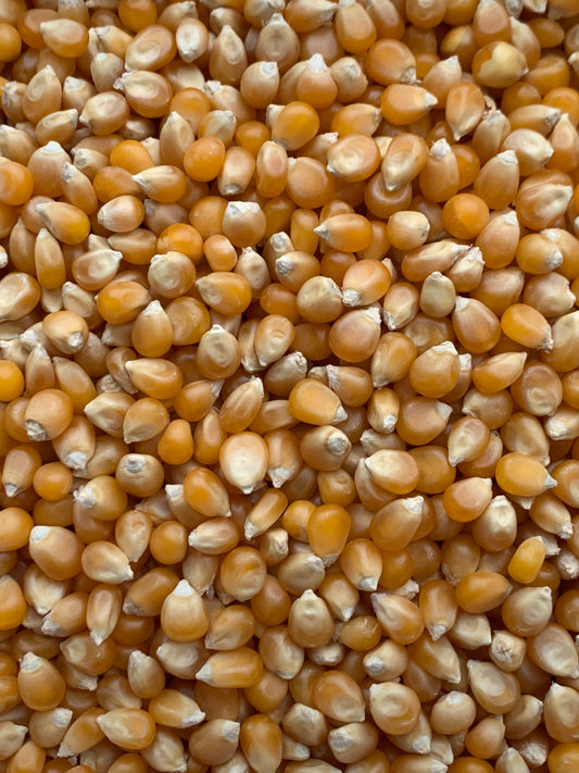 Popping Corn - 100g
