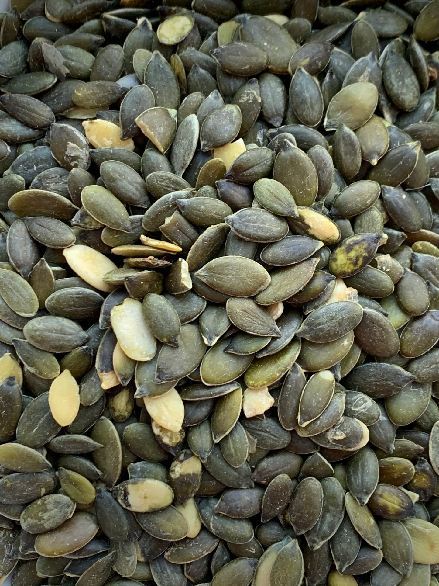 Pumpkin Seeds - 100g