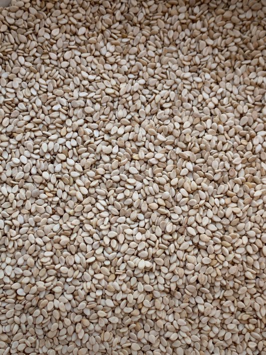 Sesame Seeds - 100g