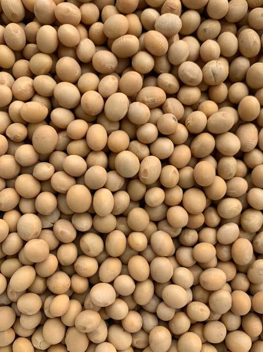 Soya Beans - 100g