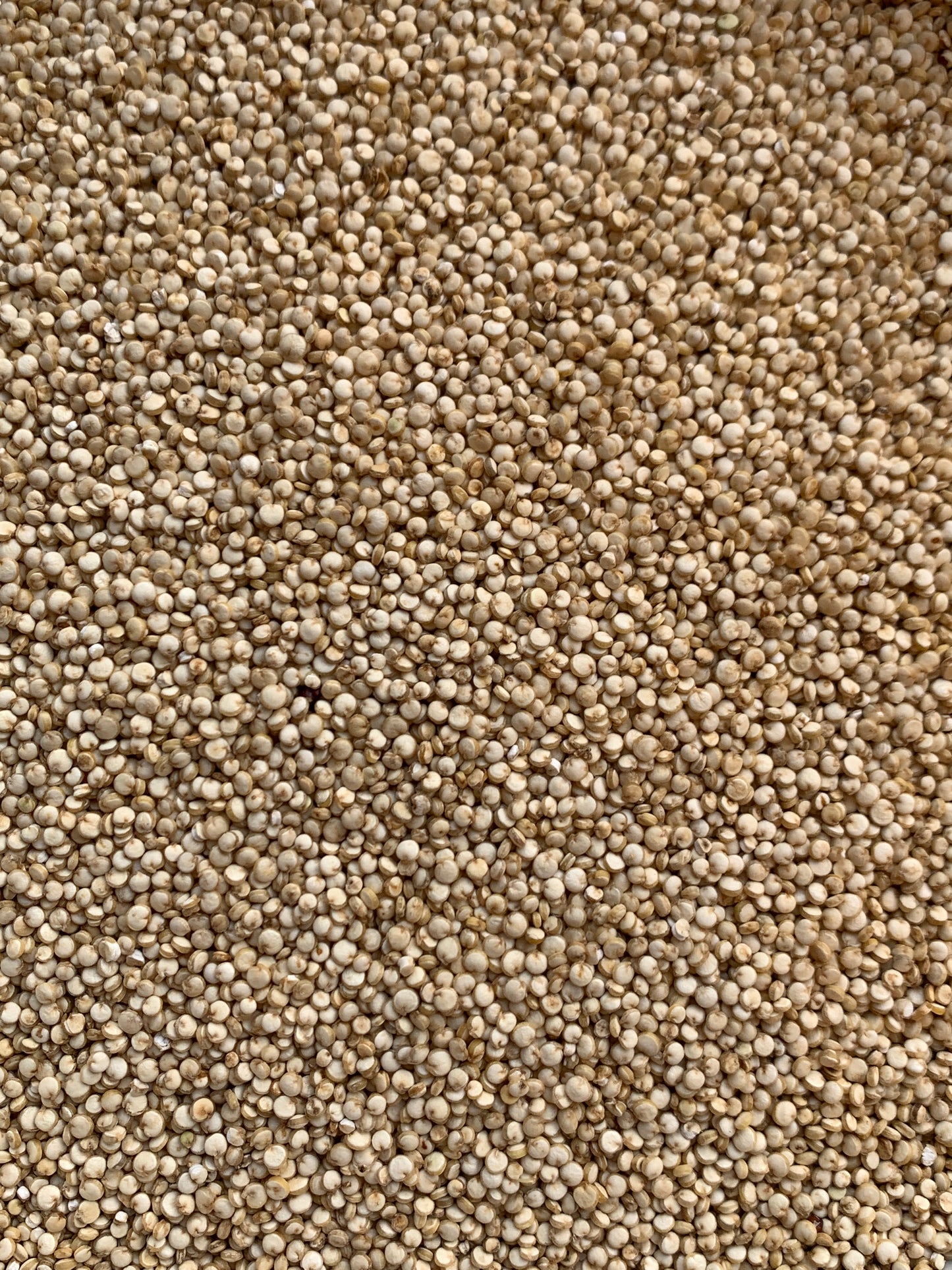 White Wholegrain Quinoa - 100g