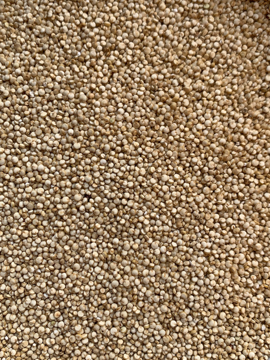 White Wholegrain Quinoa - 100g